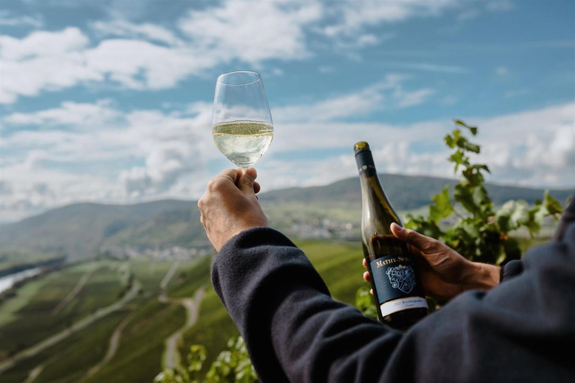 Weingut Mathy-Schanz Osann-Monzel 외부 사진