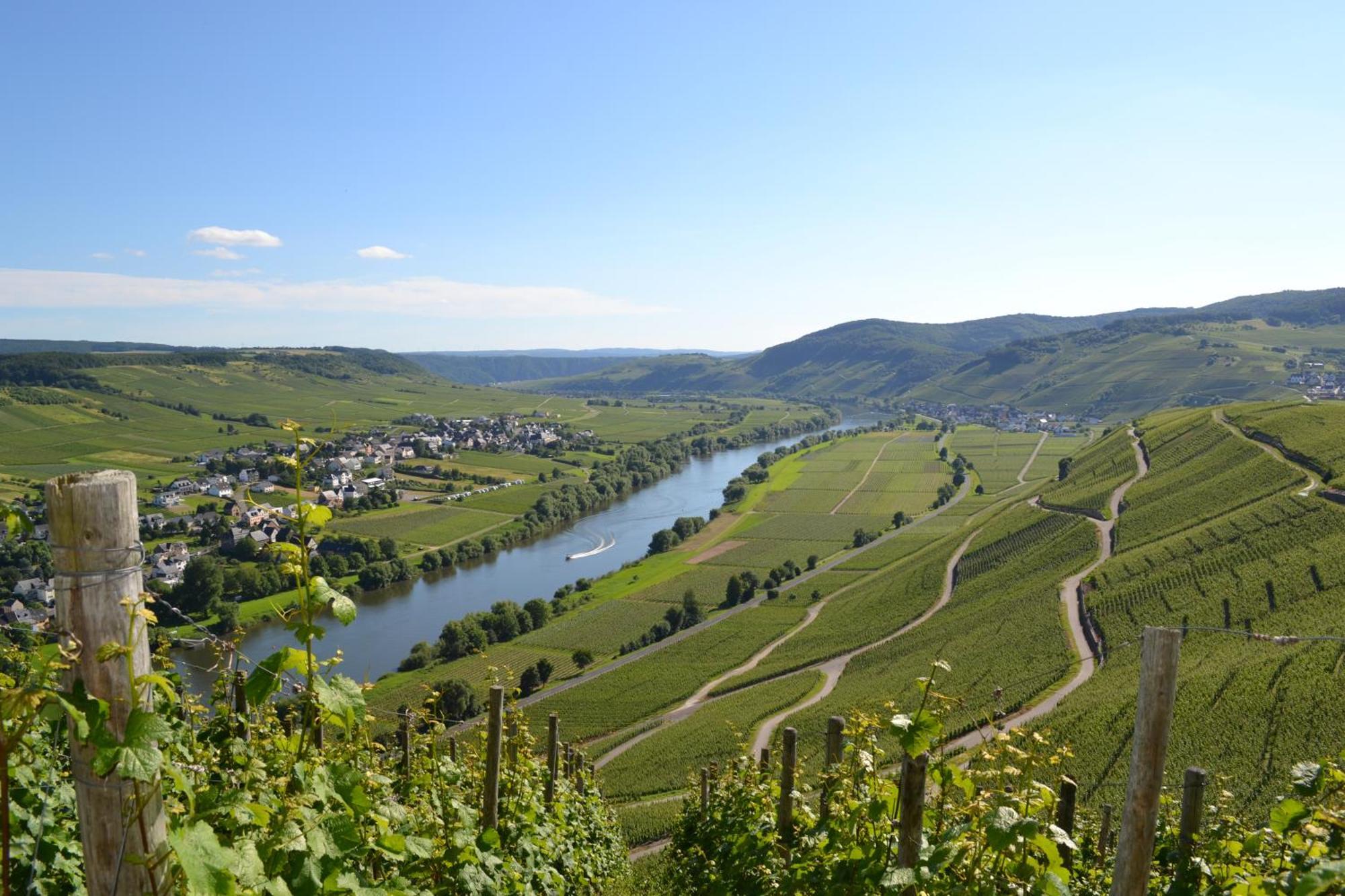 Weingut Mathy-Schanz Osann-Monzel 외부 사진