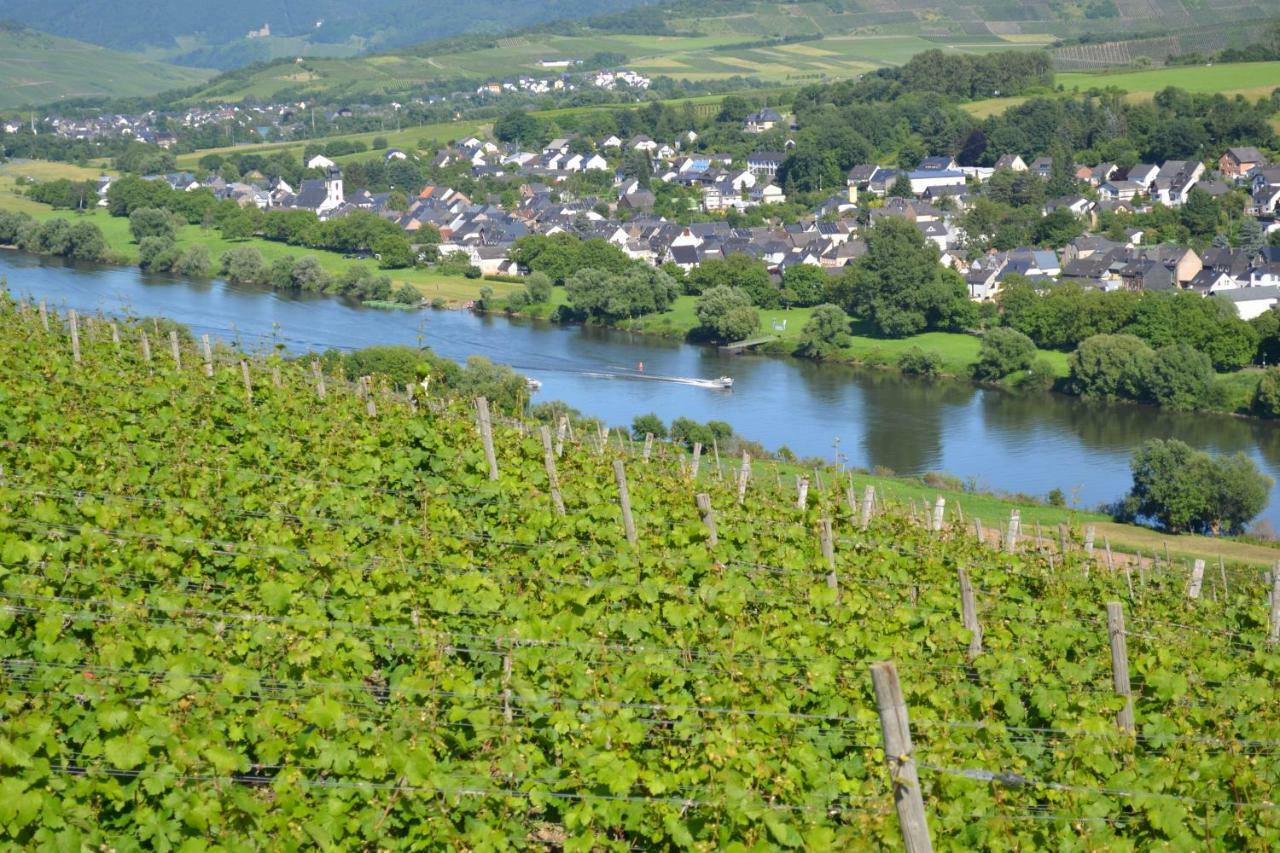 Weingut Mathy-Schanz Osann-Monzel 외부 사진